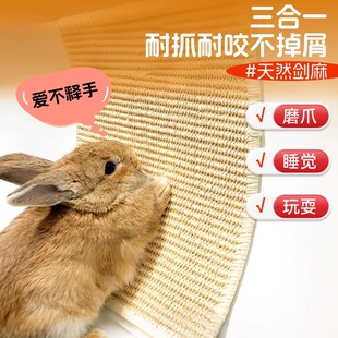 兔子磨爪板兔兔玩具解闷器宠物侏儒兔专用啃咬磨爪神器小兔子用品