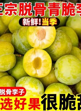 【现货】四川汶川脱骨李子5斤巫山李新鲜水果孕妇当季茵红李清脆