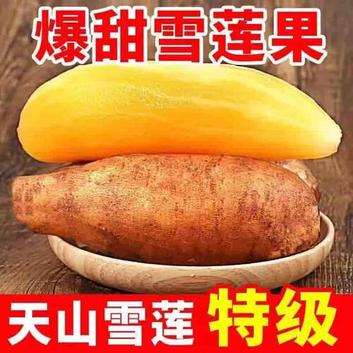2025年新果精品特级云南天山黄心雪莲果新鲜水果脆甜多汁9斤包邮w