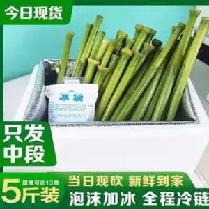 正宗现砍甜杆新鲜甜芦粟5斤甜高粱杆小甘蔗芦稷现砍中段清甜青皮W