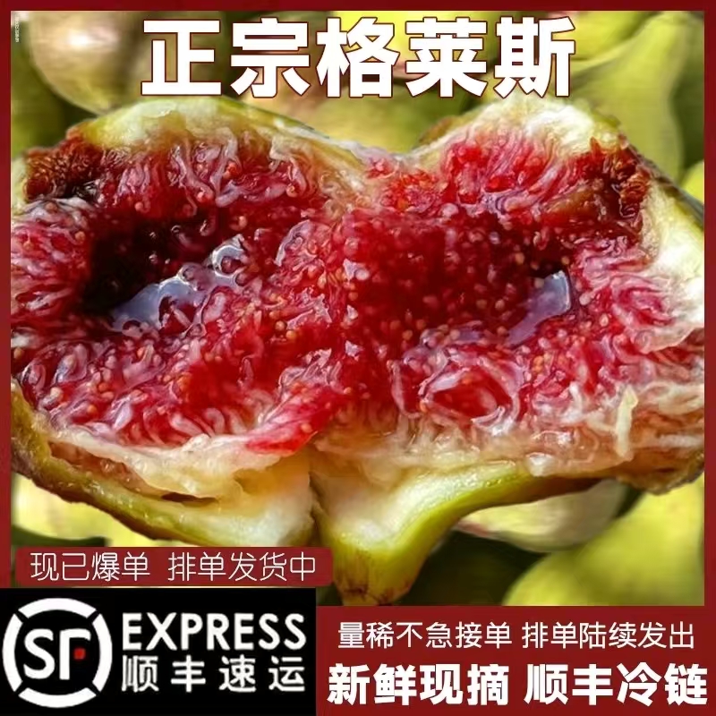 顺丰正宗特级新疆格莱斯无花果鲜果红皮大果蜜桃无花果新鲜水果W