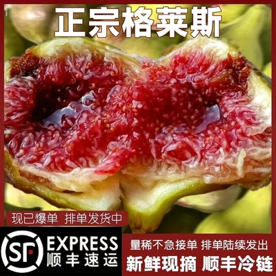 顺丰正宗特级新疆格莱斯无花果鲜果红皮大果蜜桃无花果新鲜水果W