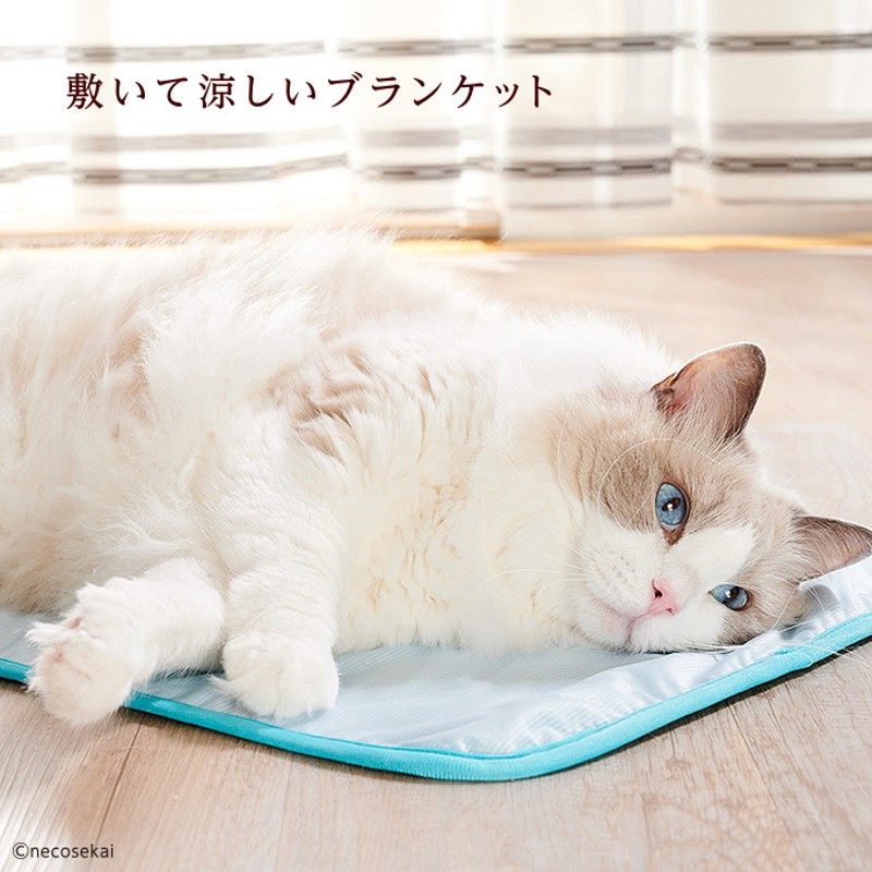 猫咪世界 夏季冷感清凉垫夏季专用冷感垫双面使用猫垫子宠物用品