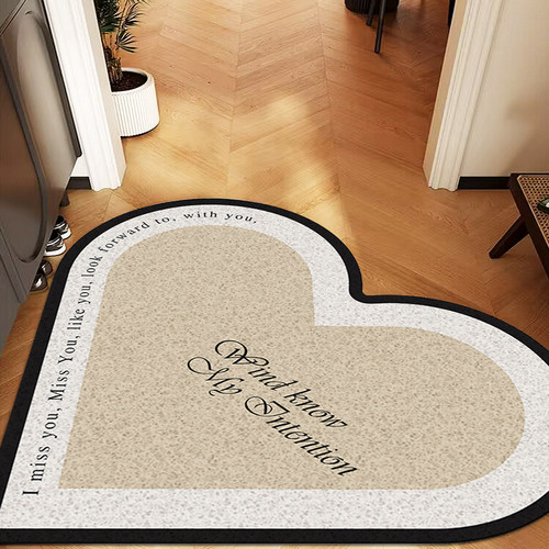 法式奶油风丝圈入户门地垫门口爱心脚垫刮泥蹭土进门玄关心形地毯