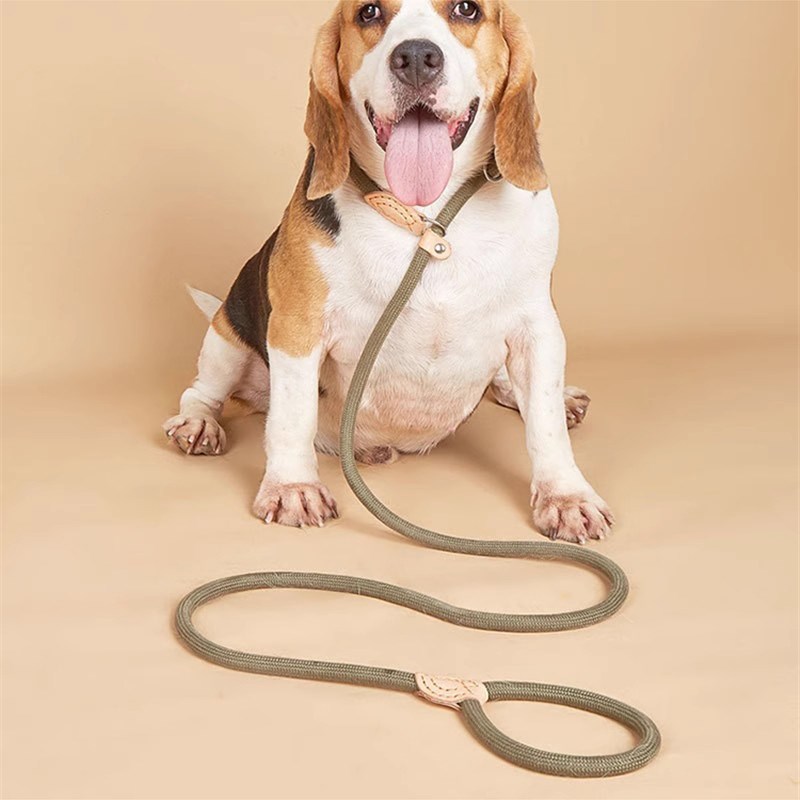 巨贵犬狗狗绳子防爆冲P链遛狗牵引绳防挣脱狗链子中大型犬
