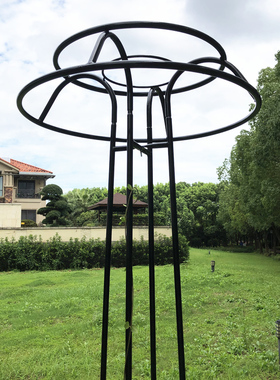 铁园艺球兰月季铁线莲攀藤蘑菇伞型花架爬藤架子绿植物支架杆户外