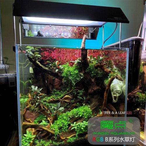 魔点水草灯 B系列全光谱RGB灯盘WRGB四路调节手机APP控制定时颜色