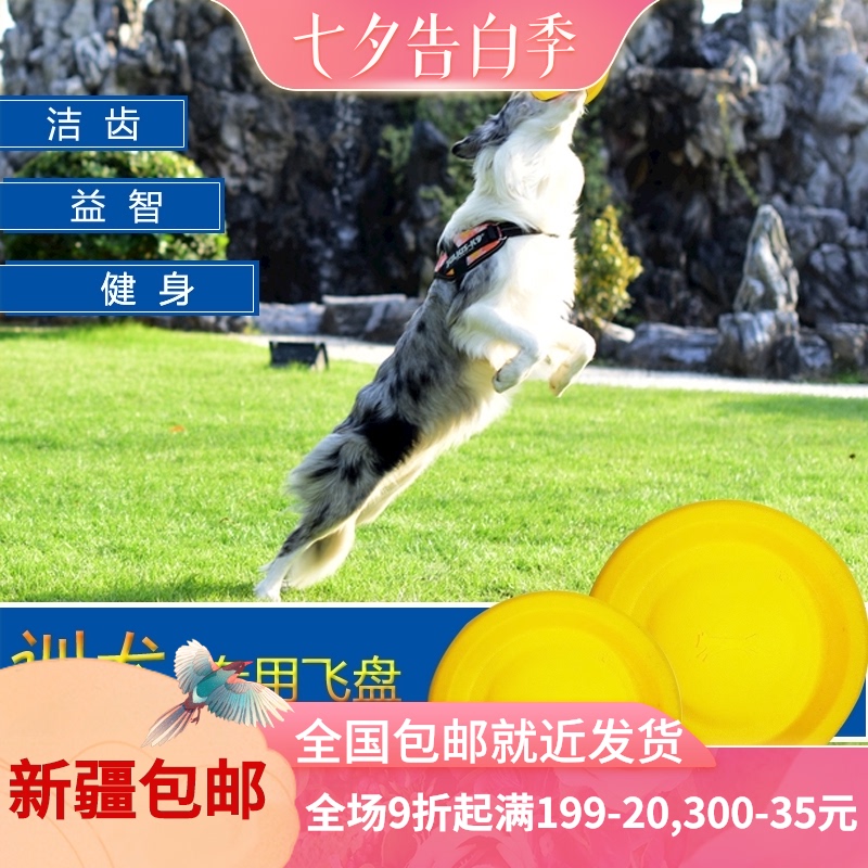 训犬飞盘狗狗玩具边牧马犬金毛拉布拉多德牧耐咬中大型飞碟秋田犬