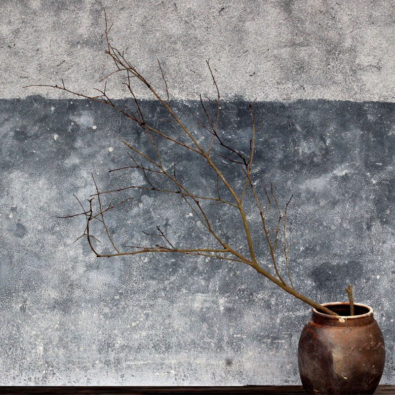 干树枝装饰枯枝干枝插花禅意艺术原木树枝摆件天然分叉树枝软装