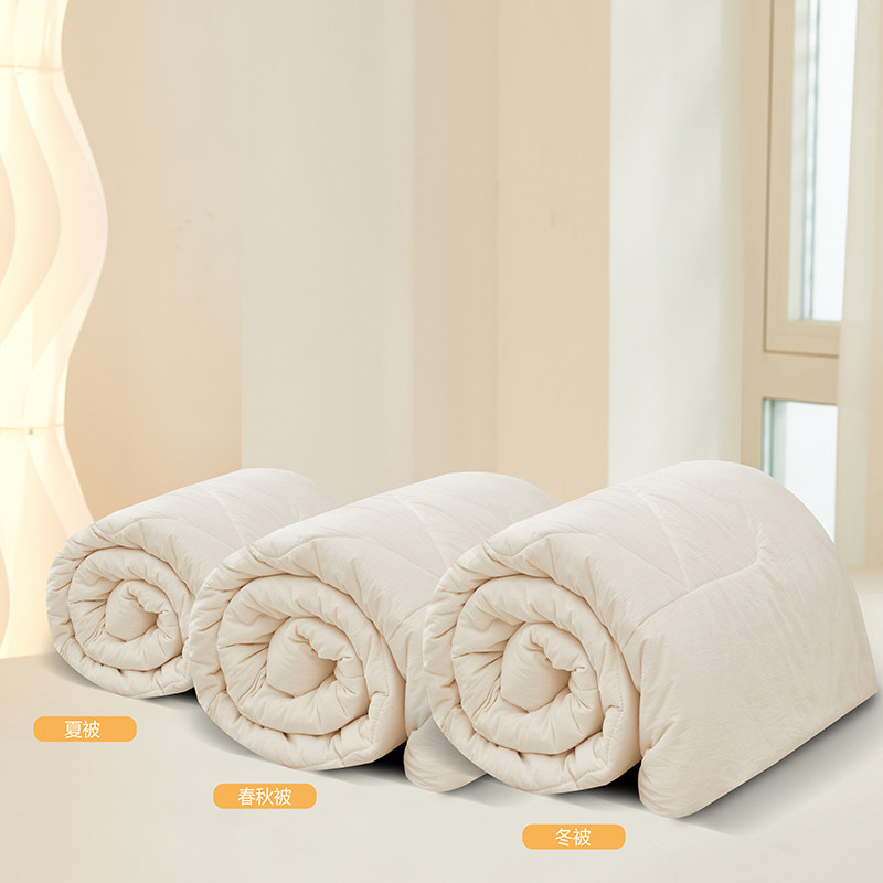 2023新款A类水洗原棉本色无染棉花被被子被芯全棉加厚保暖