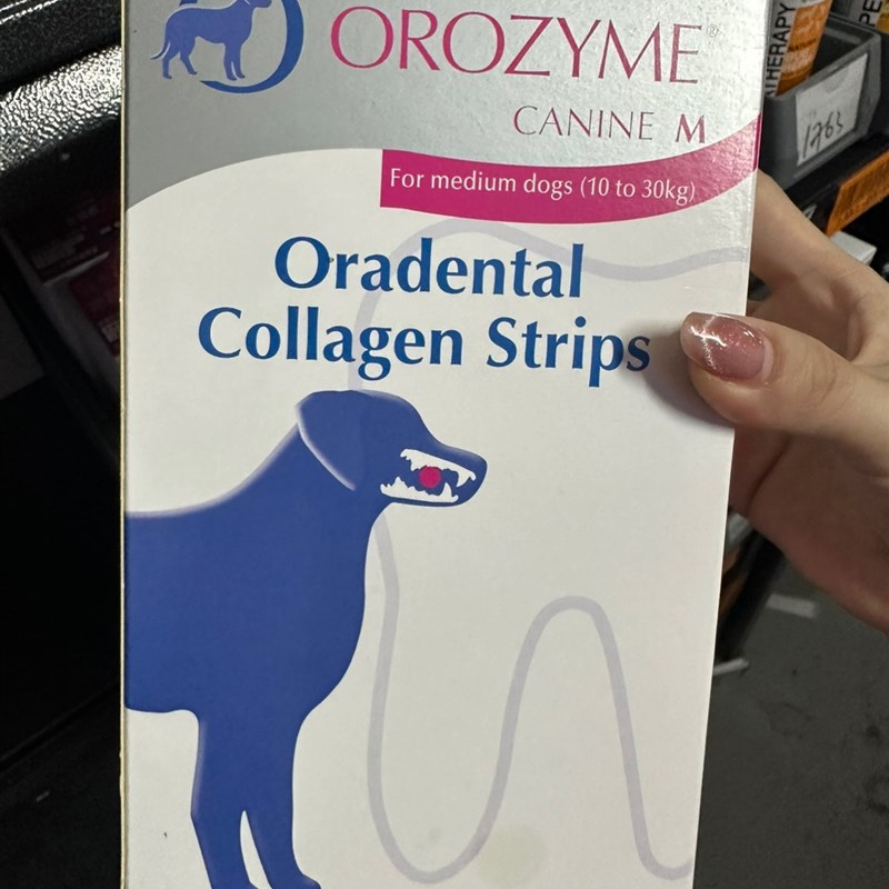 港购 比利时OROZYME科盾骨胶原磨牙棒宠物狗洁齿骨咬胶牙结石141g