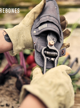BAREBONES北邦园艺修枝剪果树修剪复古树枝剪刀园林工具专用花剪