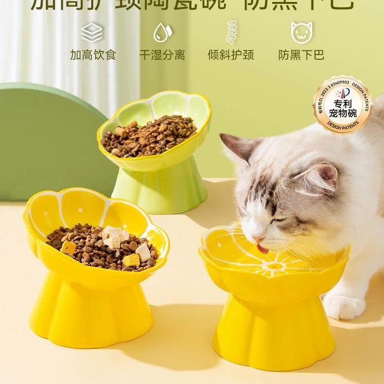 新款陶瓷雏菊猫咪食物碗斜口设计护颈椎防黑下巴宠物猫吃饭喝水盆
