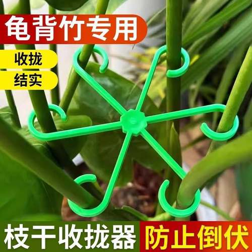 龟背竹固定器植物支架龟背竹支撑杆爬藤支架番茄防倒伏固定神器