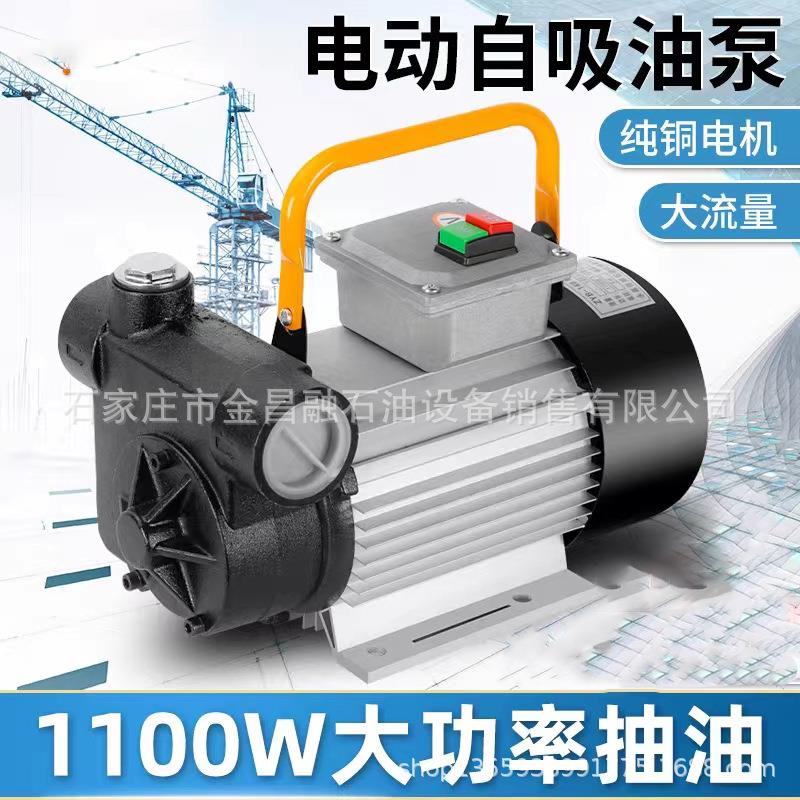 220伏电动加油泵大功率抽油泵便携式自吸柴油泵倒油泵