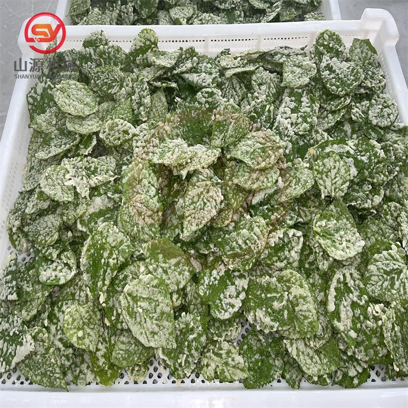 全自动800型香酥翠叶油炸机 南瓜片上浆机 翠叶裹浆油炸流水线