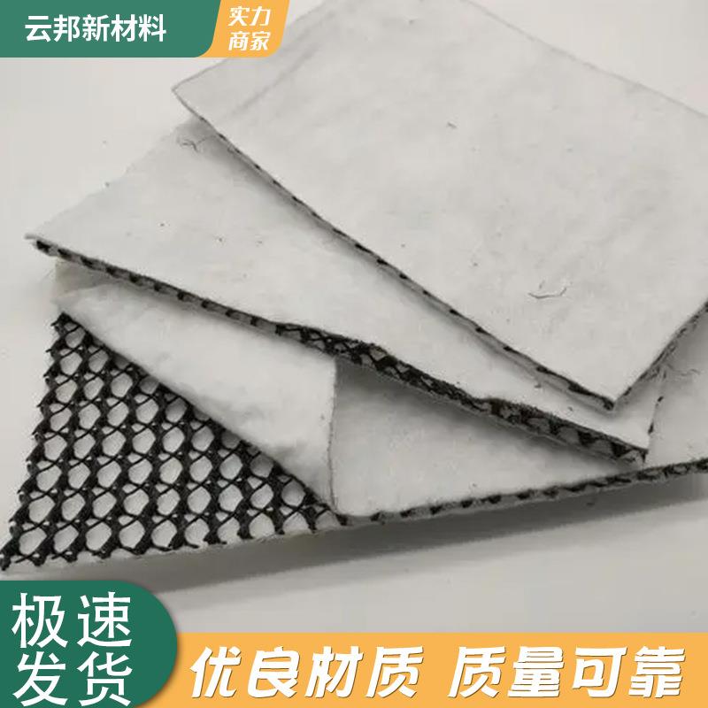 复合排水网路基隧道内壁用HDPE复合网尾矿处理排水反滤复合排水网