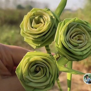 新鲜棕榈树叶编制玫瑰花棕编玫瑰花99朵玫瑰花婚庆手捧花包邮
