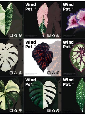 windpot原创热植冰箱贴磁贴秋海棠海芋冰箱贴绿植装饰花卉冰箱贴