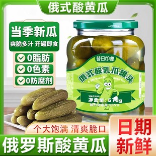 俄式酸黄瓜酸乳瓜汉堡食材俄罗斯风味酸黄瓜正即食宗配菜下饭菜