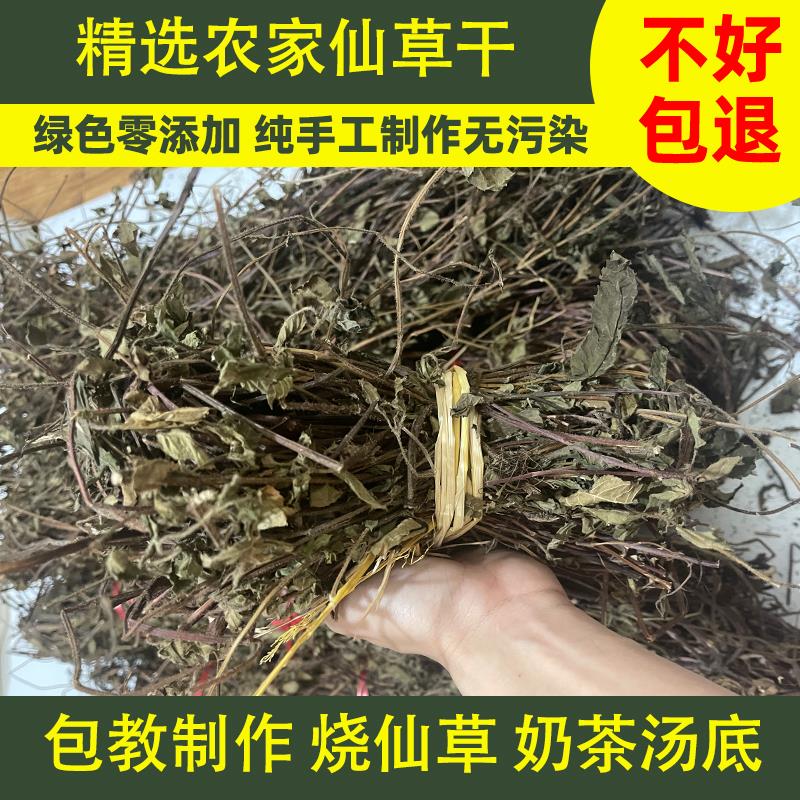 仙草干黑凉粉草粿草正宗仙人草龟苓膏烧仙草新鲜草叶仙草冻商用
