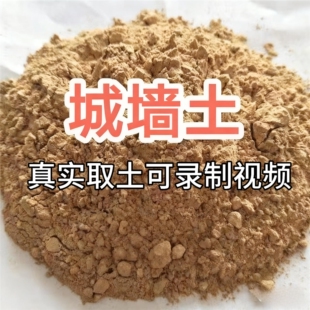 真实城墙土上千年的老城墙土老城古城土城门土根土夯土墙泥胚墙土