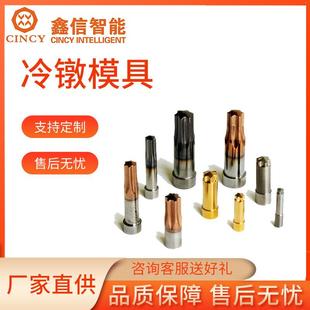 冷镦模具热锻模具螺丝模具紧固件行业模具手表零件东莞工厂