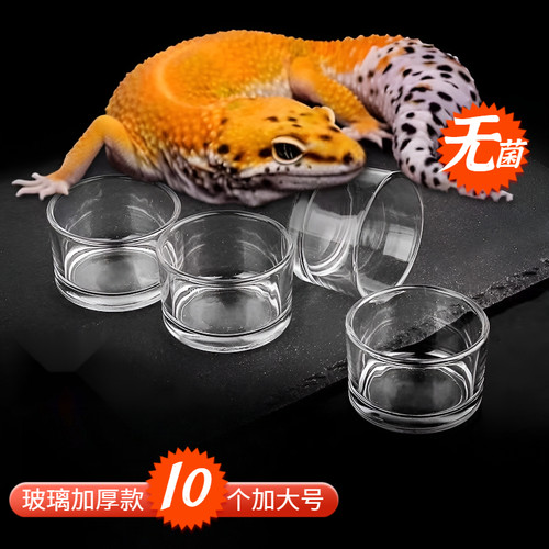 守宫蜥蜴乌龟专用食盆水碗