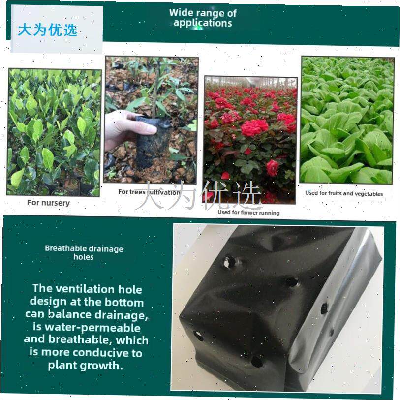 号育苗袋桉树育苗槟榔营u养袋黑色加厚种石榴植袋咖啡营养袋.