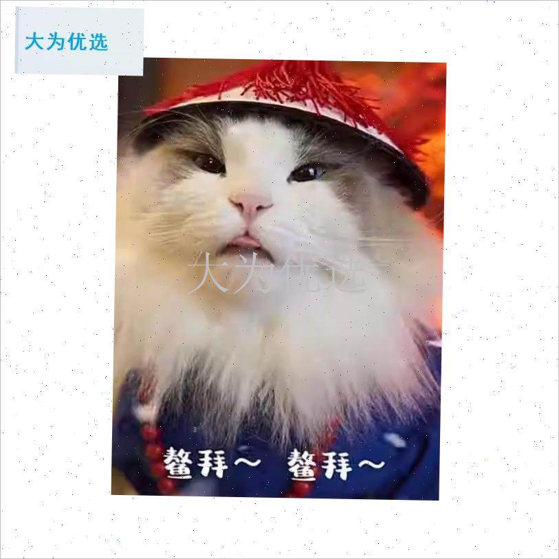 物皇帝帽子宫廷扮演m玩具道具创意搞怪猫咪头套小狗cos拍照出片.