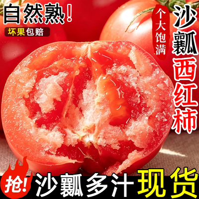 攀枝花露天沙瓤西红柿5斤