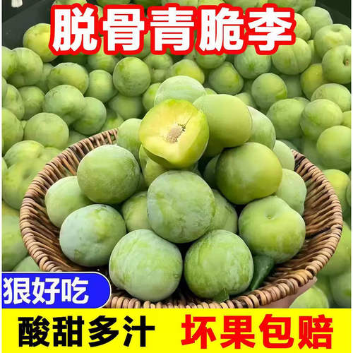 正宗青脆李脱骨李子当季新鲜采摘水果5斤时令头茬整箱酸甜脆爽果
