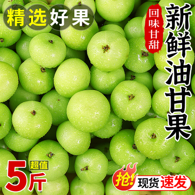 新鲜油甘果现摘当季青油甘果余甘果牛甘果野生滇橄榄果农家酸水果