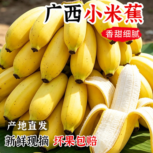 广西小米蕉超值3斤整箱包邮！