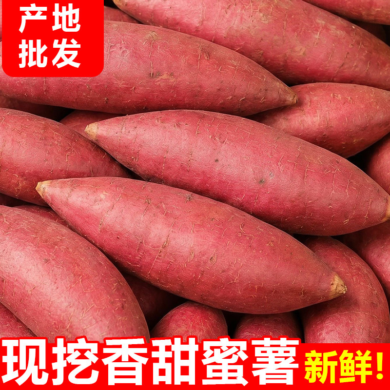 新鲜蜜薯红薯板栗烤地瓜糖心番薯沙地农家自种山芋小香薯烟薯
