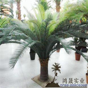 庭院落地时尚盆栽摆件商店橱窗装饰居家商场大门仿真绿植苏铁树