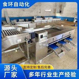 橙子芒果滚杠式水果分选机红薯土豆天麻滚杠大小分拣机不伤果