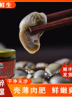 忻鲜生冷冻保存个大无沙泥螺新鲜