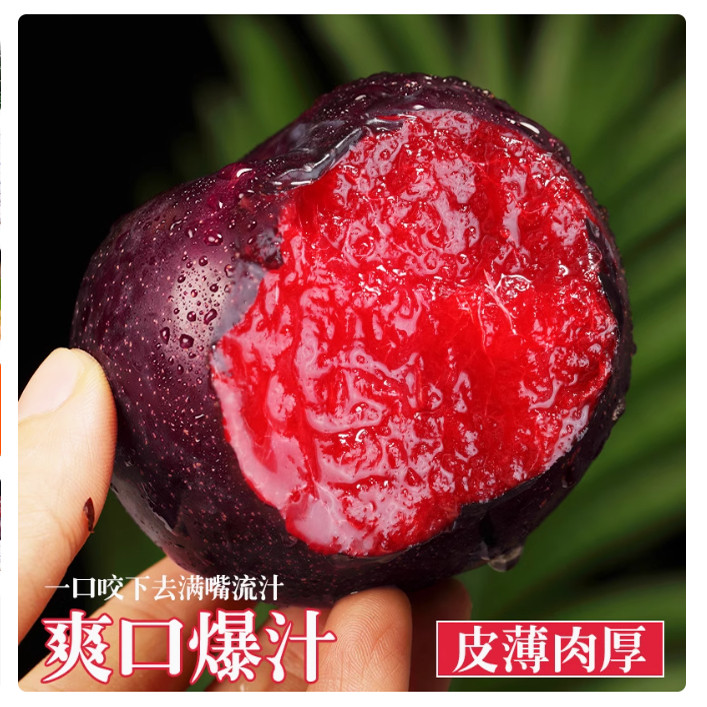 现摘玫瑰大李子当季风味黑布林血丝李黑皮红肉水果甜黑宝石