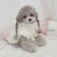 宠物带牵引扣加绒狗狗猫小型犬秋冬棉服保暖比熊泰迪衣服