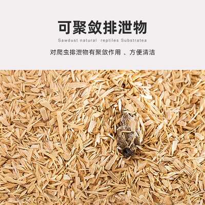 REPTIZOO蛇垫材白杨木屑玉蛇宠物蛇爬宠箱用垫材球蟒爬虫除臭造景