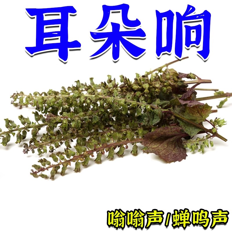 耳鸣聋耳嗡嗡响神经性蝉鸣听力下降耳背蝉鳴声聋背闷中药材茶