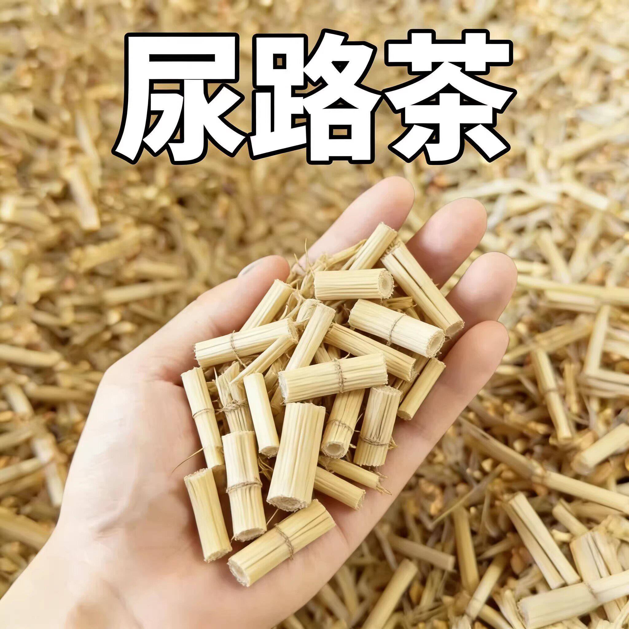 正品白茅根尿路感染男女士老年人尿频尿急不尽小便刺痛养生茶
