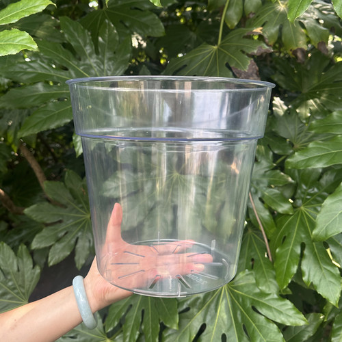 透明兰花水苔蝴蝶兰专用花盆塑料透气热植石斛盆栽青山控根观根盆