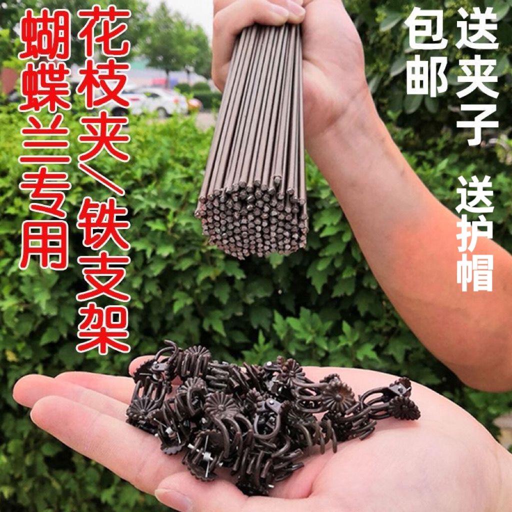 慢朴人蝴蝶兰支架支撑杆