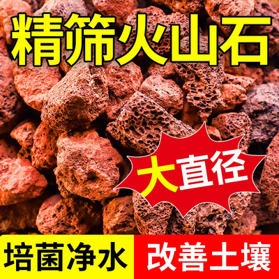 精筛天然火山石过滤培菌净水垫底黄金麦饭石颗粒大直径免洗铺面石