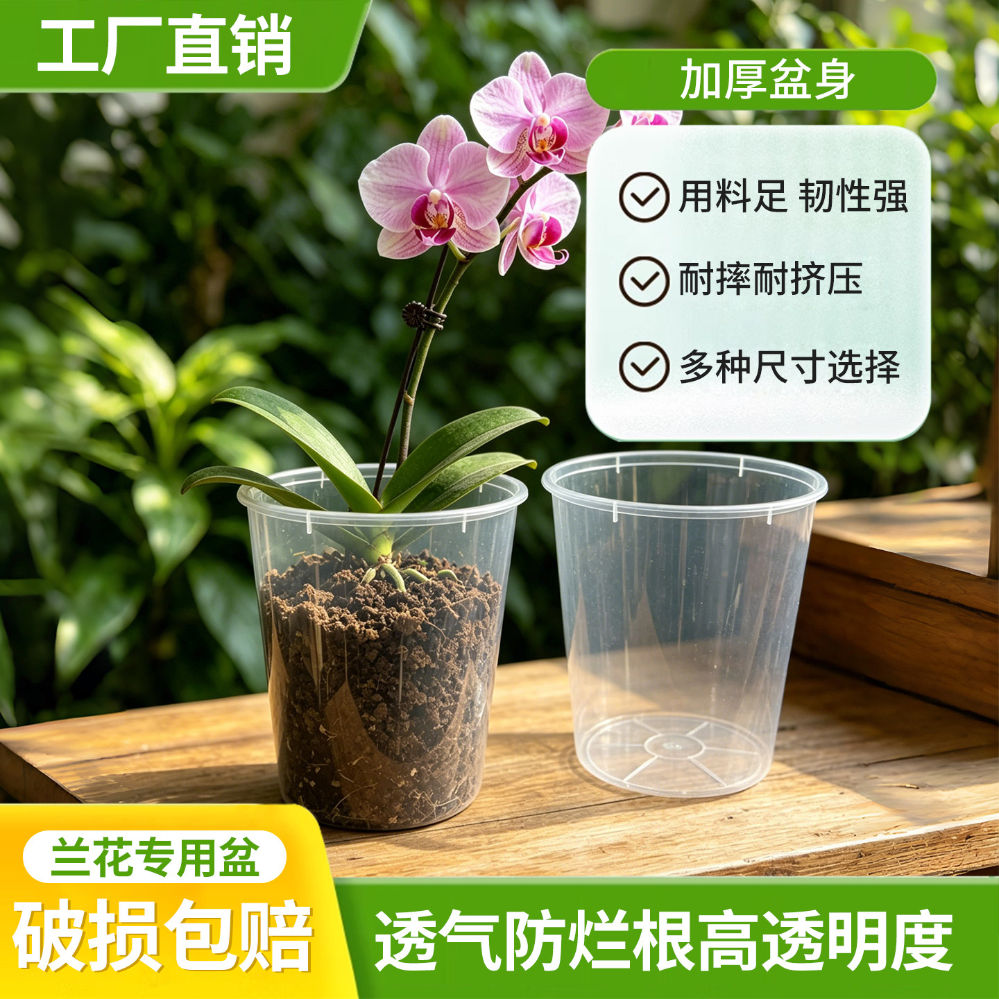 闷养杯花盆水培懒人盆透气蝴蝶兰种植桶高透明套盆养花干湿循环