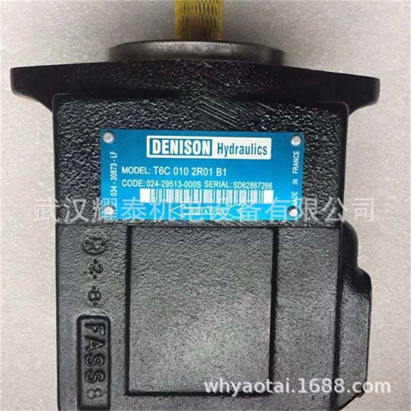 丹尼逊叶片泵 T6ED-085-038-1R00-C100