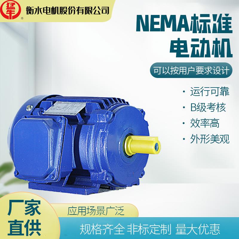 衡水猛牛电机NEMA标准的全封闭自扇冷却电动机B/D设计 CID2防爆