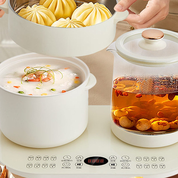 正迈多功能养生壶套装 花茶黑茶煮茶器烧水壶保温壶炖煮火锅套装